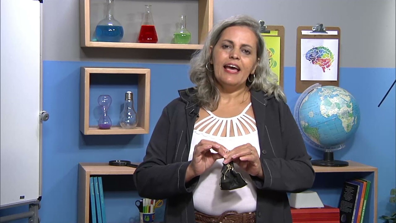 A percepção do mundo pelos órgãos do sentido | Rioeduca na TV – 3º Ano