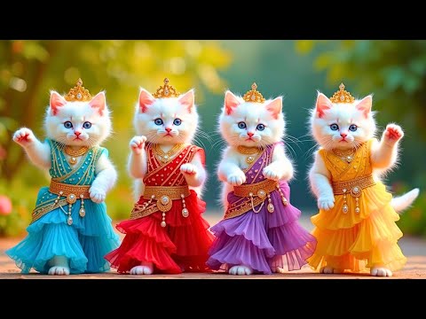 बिल्ली डांस | Cutest Cat videos funny dance🤣💃Videos for cats #funny #dancingcat #cat @Meow_cat99