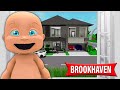 Baby Goes To BROOKHAVEN