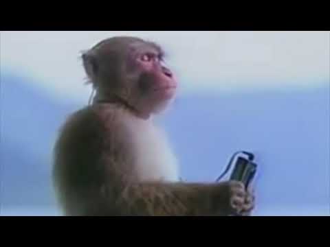 When shell of light really hits