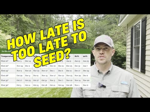 When to plant grass seed? | A complete guide to growing grass and renovating your lawn