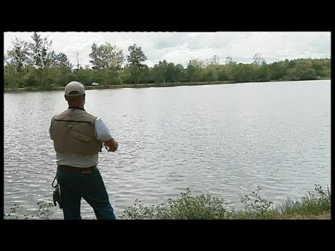 Page été : les étangs de Sologne