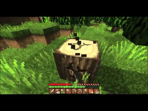 Let´s Play Minecraft #254 German HD 720p  Sry die und nächste Folge ohne meine Stimme ;