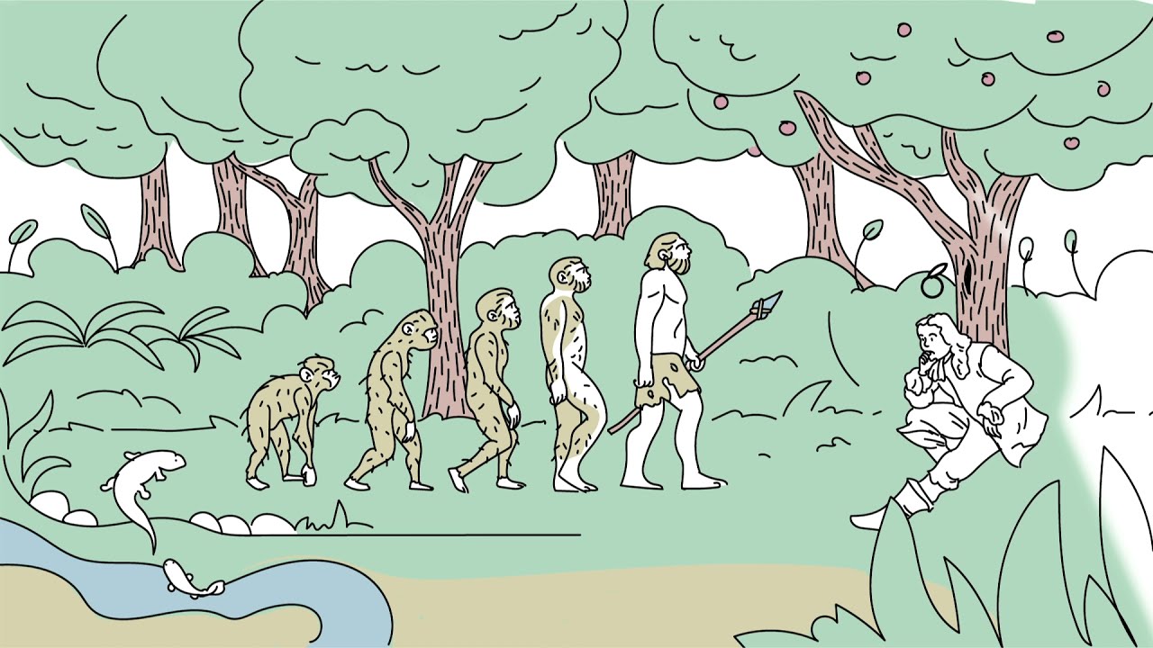 La Méthode Feldenkrais - EXPLIQUÉ - Volume 4