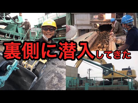 ヴィドゥール川右岸の眺め。