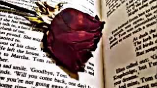 Helene Fischer - Goodbye my love until we meet again - with lyrics