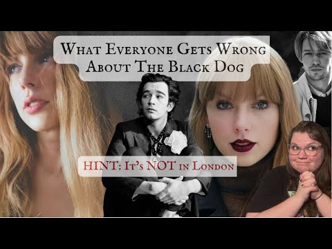 What Everyone Gets Wrong About The Black Dog | Taylor Swift Lyrics Meaning Lore and… Matty Healy?!
