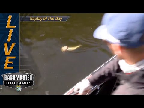 MISS RIVER: Brandon Palaniuk's incredible swimbait bite at the boat