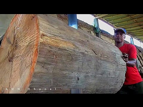 überraschende Sekunden dieses großen Holzes, als es in die Hände des Bedieners fiel