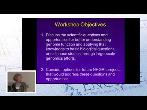 Purpose of Workshop: Background and Planning Process for Future Initiatives - Elise Feingold