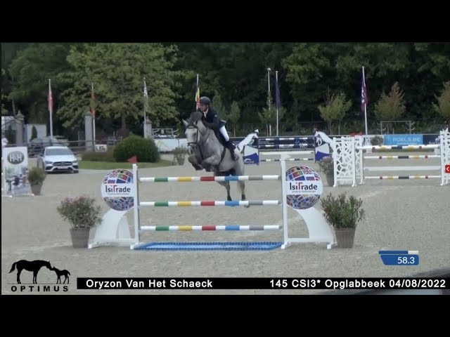The grand-mother of this frozen embryo is the CSI 1.50 jumping mare Oryzon van het Schaeck with rider Max Siebrechts.