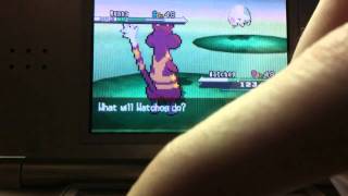Live!!! Shiny Munna after 11,607 REs!!