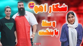 واسه یه قلوه که این کارارو نمیکنن 😂