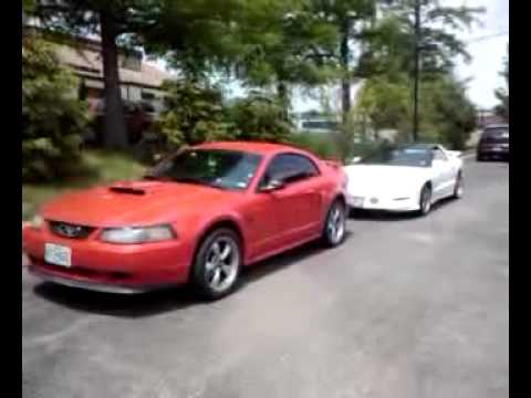 2001 Firebird, 2004 Mustang GT, 2002 Trans AM RACE