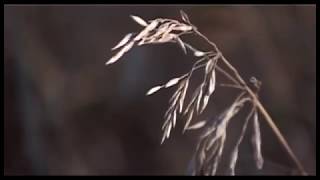 Что же изменилось с 1 октября?