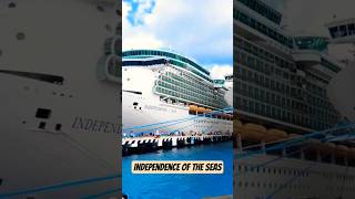 Independence of the Seas in 30 Seconds 😍 | Cruise Life #Shorts #Shorts #cruiseship