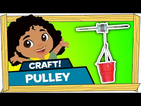 Kid Crafts: Pulley - Darwin and Newts