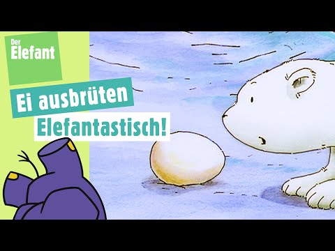 Der kleine Eisbär brütet ein Ei aus & Welche Farbe hat die Obstschale? | Der Elefant | WDR
