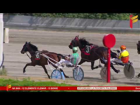 II Corsa del 7 Maggio 2023 - 5/6 Anni - Metri 1600