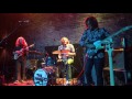 The Donkeys - Lower The Heavens