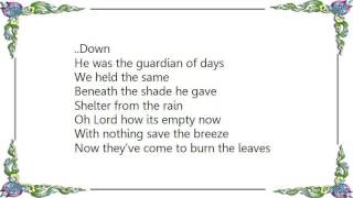 Cat Stevens - King of Trees DVD Lyrics