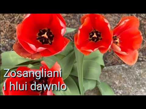 Zosangliani - I hlui dawn lo(Lungrun)