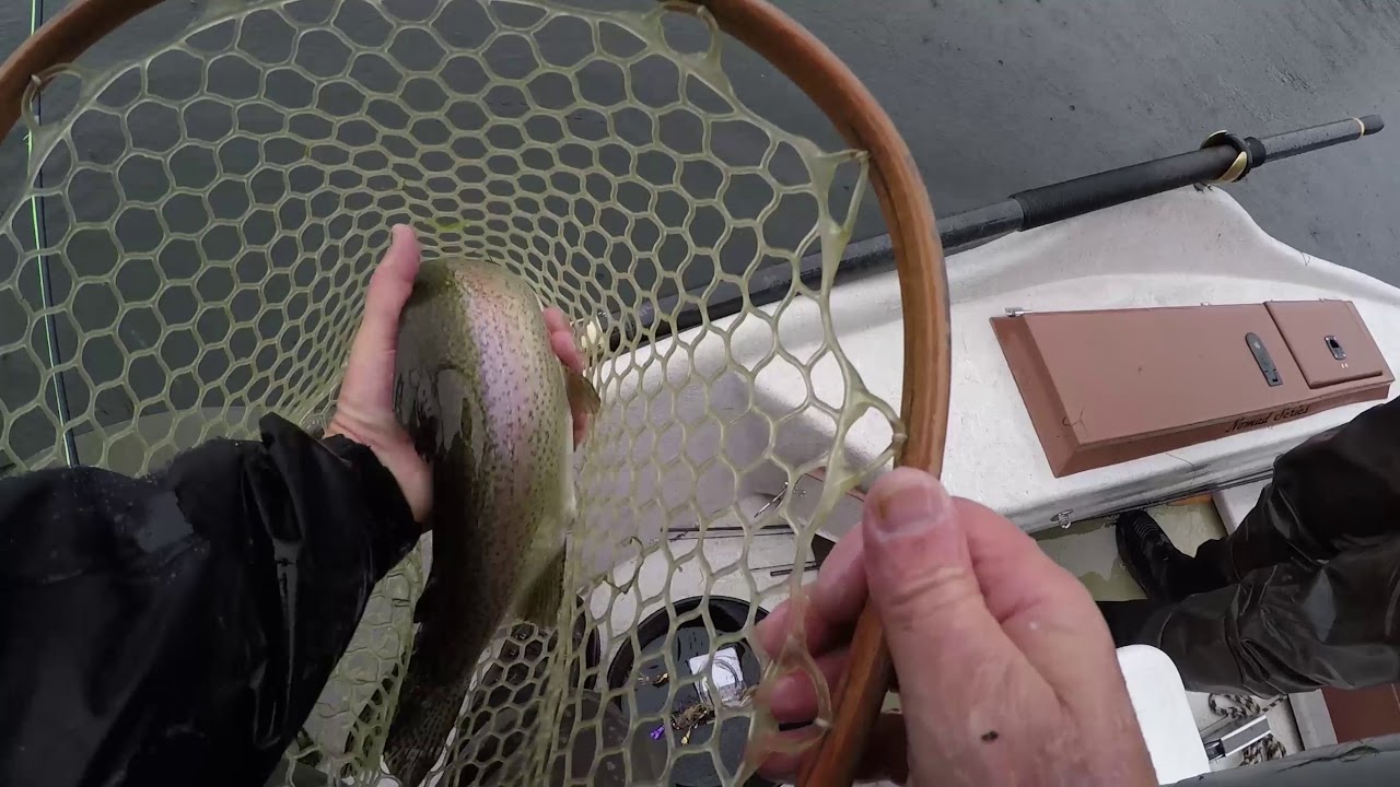 How to Fish STREAMERS in the Fall on the Missouri River, Montana