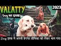 valatty 2023 Explained In Hindi |Valatty full movie in hindi| Valatty malyalam new full movie 2023 |