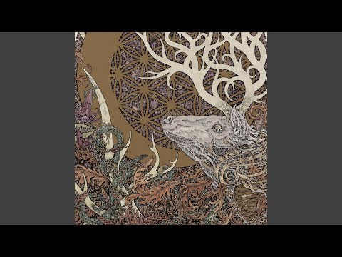 Way of Ever-Branching Paths