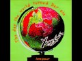 X-Ray Spex - The Day The World Turned Dayglo