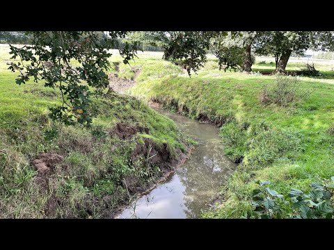 Wandelen over het Pieterpad - etappe 5 - Rolde-Schoonloo