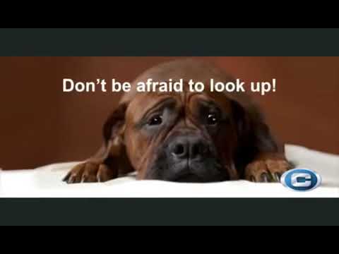 Donnez-vous de l'espace pour grandir avec une mezzanine