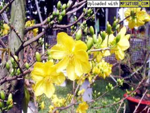 Gửi nắng cho em Sheet - NgọcTân