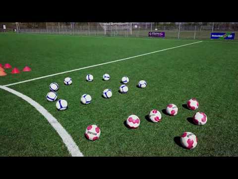 Alphia - Hart onder de riem 2020