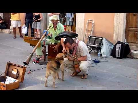 Acoustic Spirit Duo in Perugia