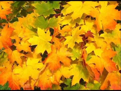 download lagu mp3 mp4 My Milonga, download lagu My Milonga gratis, unduh video klip Download My Milonga Mp3 dan Mp4 320kbps Gratis