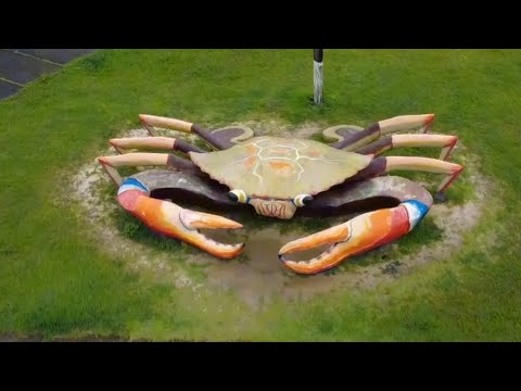 Salinópolis Para - Passeio pelo litoral 🏖️🌊☀️ #Praia #Viagem #dji #videoviral #natureza