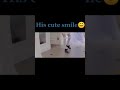 Dresschange About Is Love Chinese Drama Hindi Mix Song ️