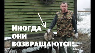 Иногда ОНИ ВОЗВРАЩАЮТСЯ!..