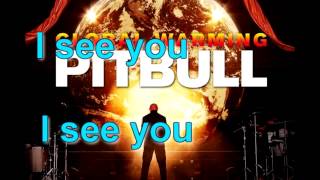 Pitbull  drinks for you  lyrics