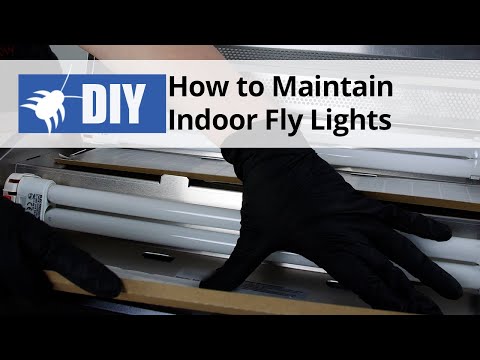  How to Maintain Fly Lights - Indoor Fly Control Tips Video 