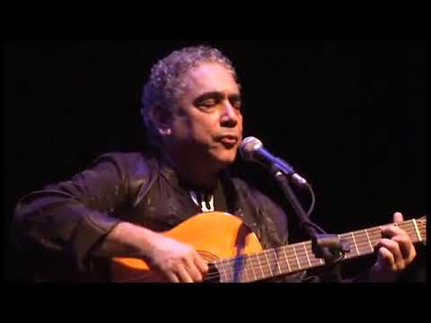 Ave Cantadeira  -  Paulinho Pedra Azul