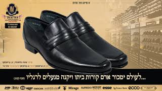 Meir Goldstein & Friends | א שיינע שיך | מאיר גולדשטיין והחברים