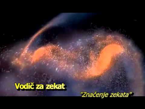 Vodič za zekat - Značenje zekata