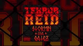 Terror Reid - Stormin Tha Gatez