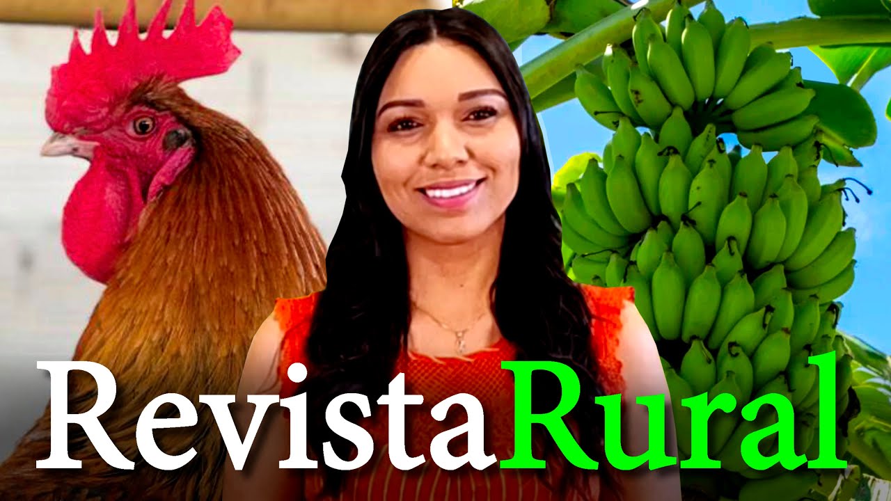 PROGRAMA REVISTA RURAL - 31/12/2023