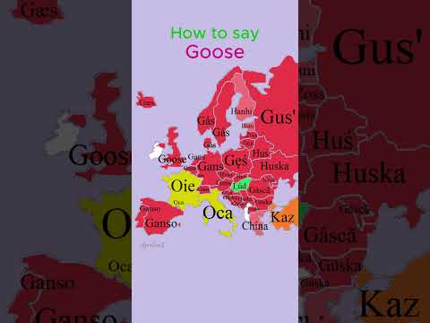 How to say Goose | Birds | European Languages Comparison #shorts #comparison #language #map
