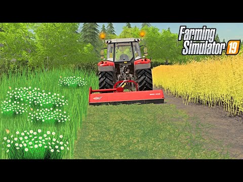 FLAIL MOWING FIELD BOUNDARIES | Sandy Bay Farming Simulator 19 - Episode 34