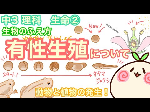 動物の有性生殖:種類と例