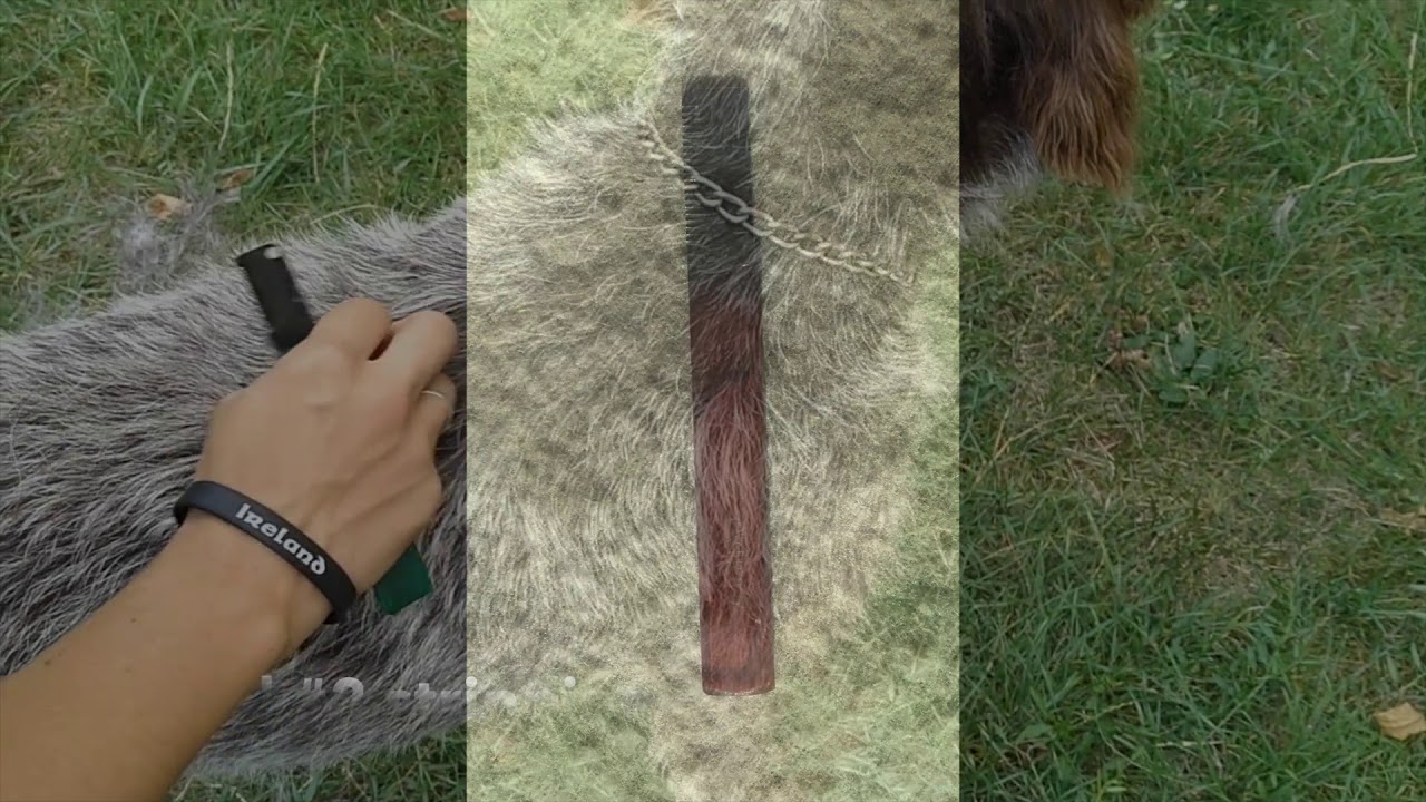 Grooming 101